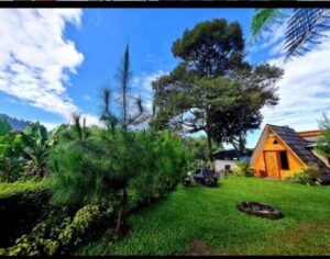 Villa Puncak untuk Healing Villa Puncak untuk Healing