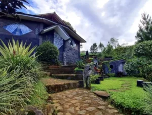 Family Glamping Family Glamping