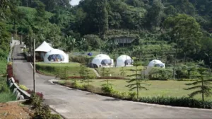 Glamping Hits di Puncak Glamping Hits di Puncak