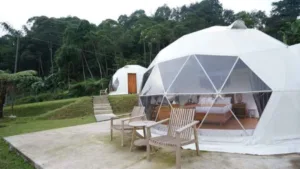 Glamping modern di puncak Glamping modern di puncak