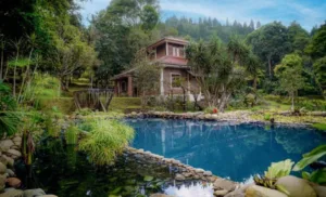 sewa villa puncak private pool sewa villa puncak private pool