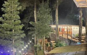 Kembali ke Alam Kampung Rimba