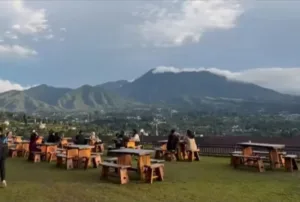 Litle Sinbad Coffe Puncak